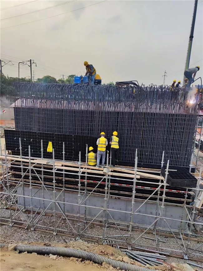 未来建筑施工的新利器(图2)
