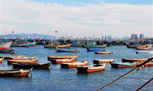 2023年中国市政工程行业发展现状市政工程市场规模预计将达310万亿元(图7)