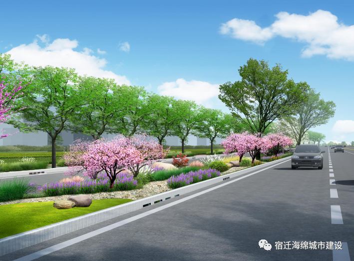 苏宿园区在市政道路工程中积极融入海绵城市理念(图3)