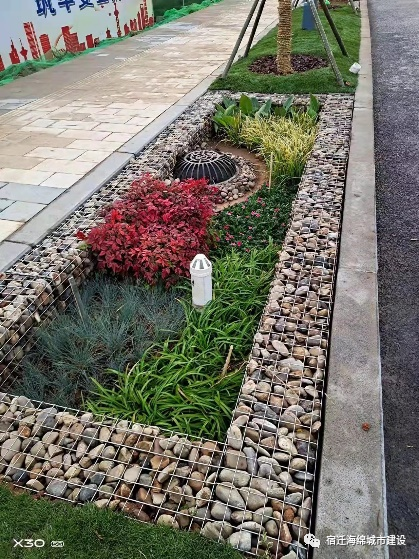 苏宿园区在市政道路工程中积极融入海绵城市理念(图4)