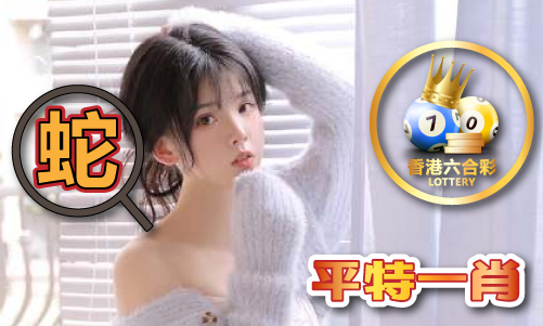 澳港C金大十六码-澳港C金大十六码安装版V(图1)