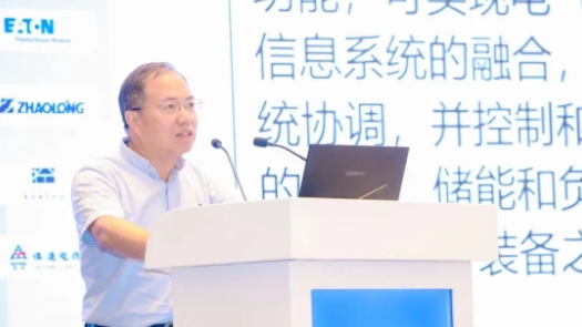 伊顿亮相中国勘察设计协会电气分会2024年会并获颁“铂金合作伙伴”荣誉
