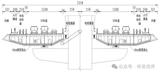 皓月南沙江山入画——万龙大桥工程主桥总体设计(图9)