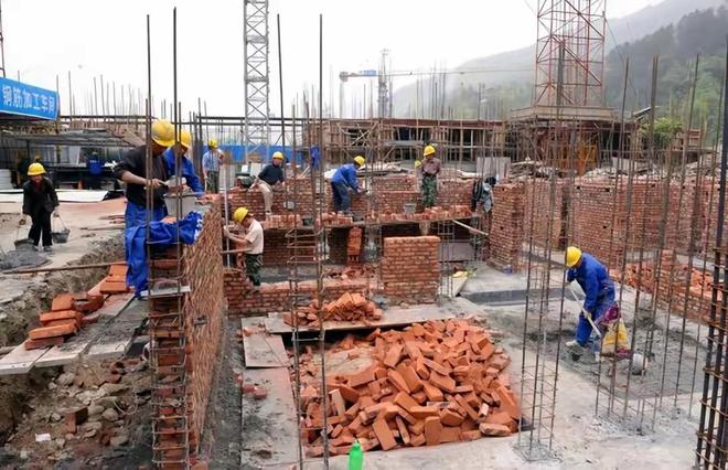 建筑行业太难了2024年我从月薪10000元降到50元了(图3)