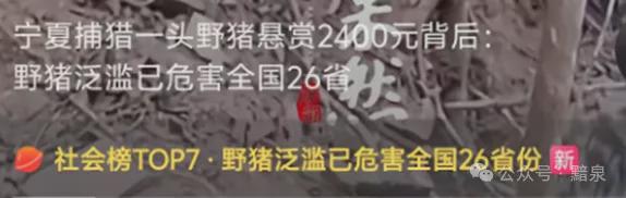 建筑企业的转型和内卷：几千家建筑企业争抢一个基建项目！(图3)