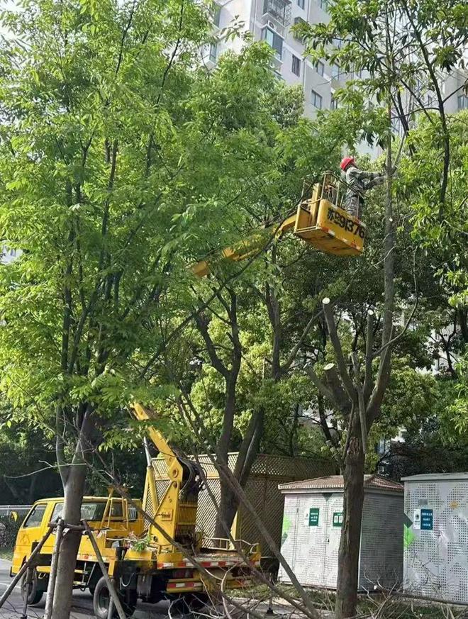 大风将近！中到大雨暴雨！莫慌莫大意！(图18)