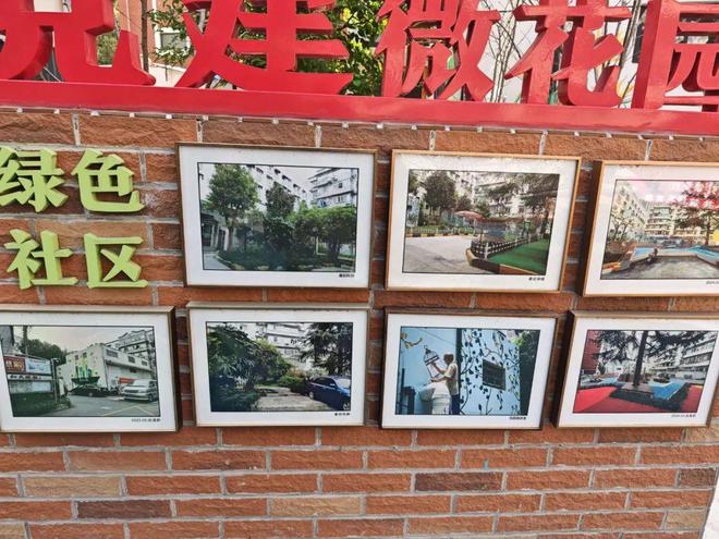 怎么上海小区改造已经进化成这样了(图26)