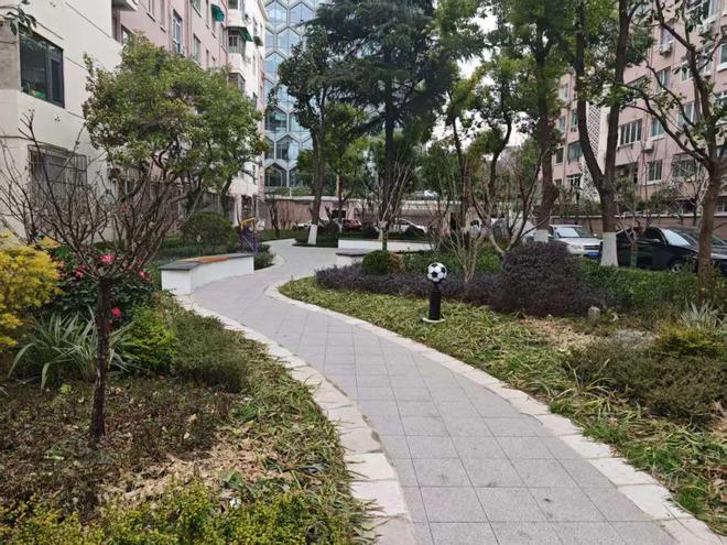 怎么上海小区改造已经进化成这样了(图17)