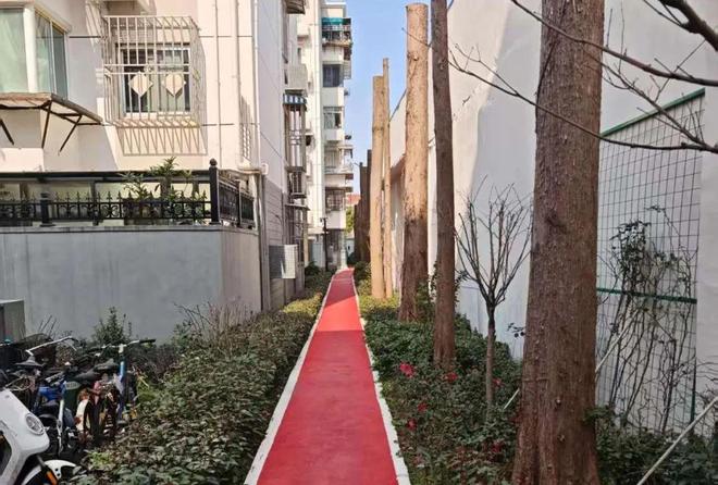 怎么上海小区改造已经进化成这样了(图18)