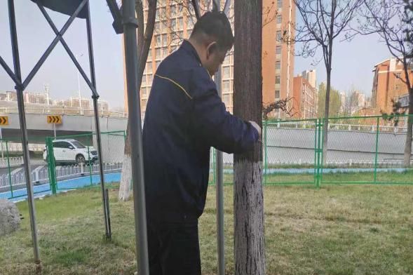 @全体居民泰达街全力应对极端天气！大风今晚到收好防护指南→(图26)