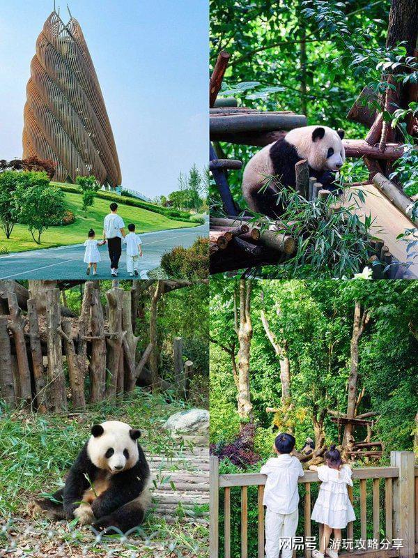 去成都几天西安到成都自驾旅游攻略三日游权威指南(图4)