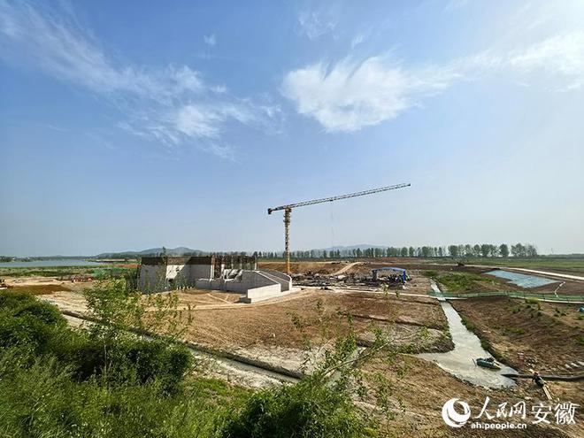 芜湖弋江区：兴水之利护安澜(图2)