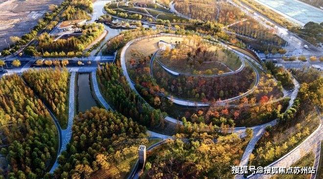 2025紫薇之星(售楼处电话)首页网站-紫薇之星售楼处地理位置-_户型图_价格_容积率_楼盘简介_小区环境_户型配套(图13)