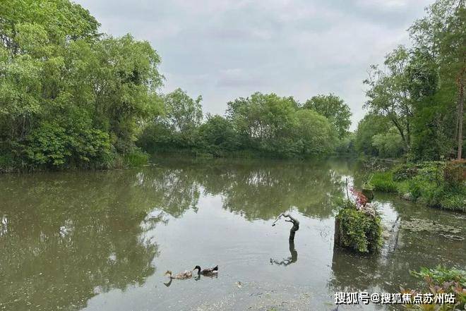 ⚡ꦿ℘鑫湾甲邸售楼处：鑫湾甲邸发布㊣销售方式丨户型设计(图3)