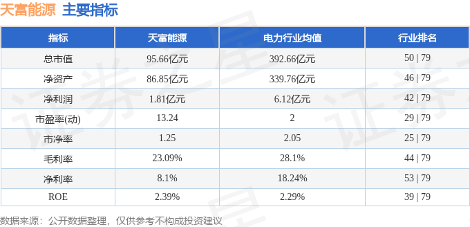 天富能源（600509）5月9日主力资金净买入385463万元(图3)