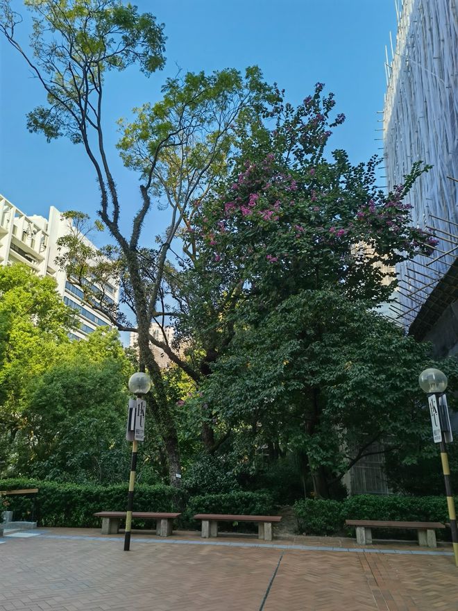 香港工科留学中介（计算机工程类专业申请榜）(图2)