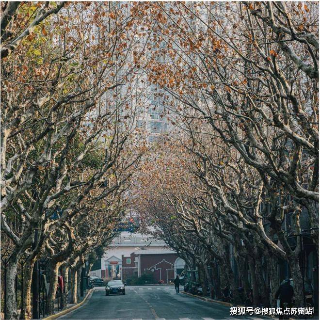 康定壹拾玖(售楼处)首页网站-康定壹拾玖楼盘欢迎您-楼盘详情-特色-地理位置-售楼处电话-购房指南(图12)