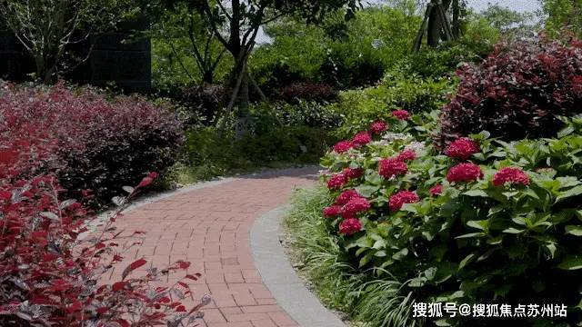 洋江唐顿公馆(上海)首页网站-2025楼盘评测_洋江唐顿公馆最新价格配套户型(图9)