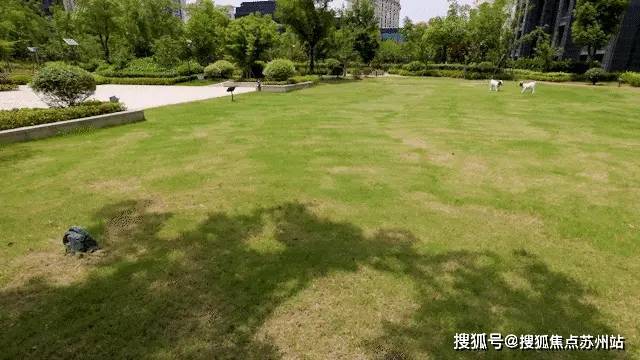 洋江唐顿公馆(上海)首页网站-2025楼盘评测_洋江唐顿公馆最新价格配套户型(图11)