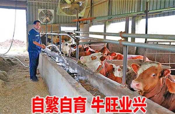 7月11日晚报(图1)