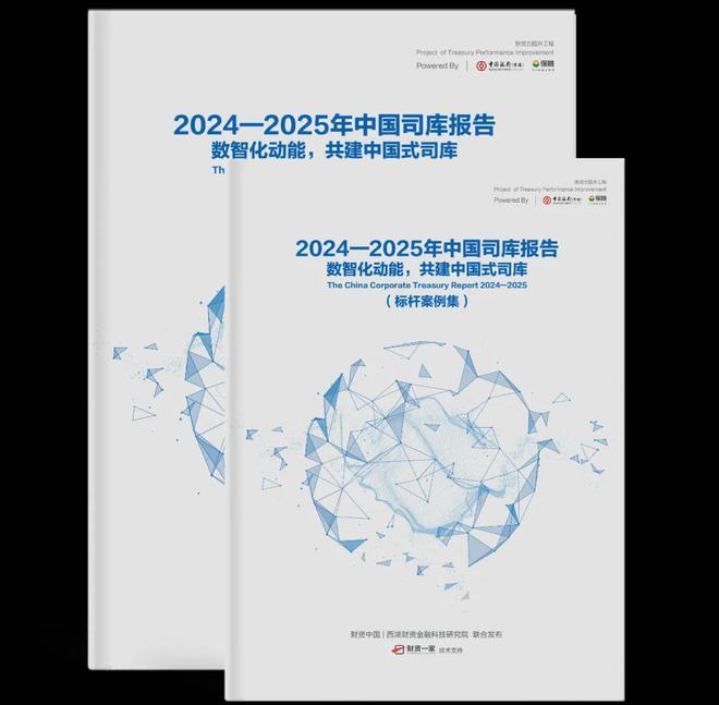 4家企业实践：全景解析海外财务共享的探索实践(图2)