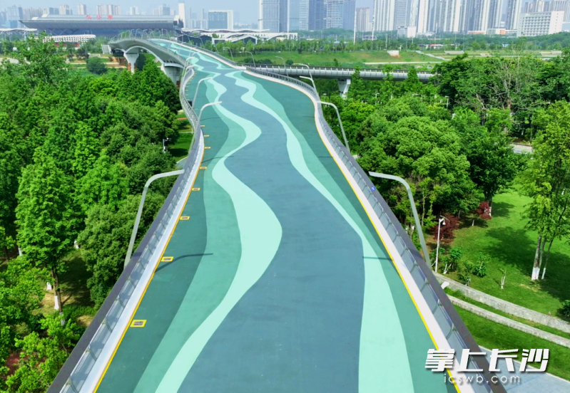 长沙这座桥获国家级质量荣誉！成市政工程“长沙样板”(图2)