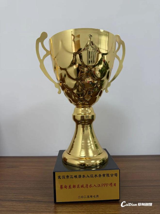武汉市市政工程金奖！蔡甸这个项目上榜！(图3)