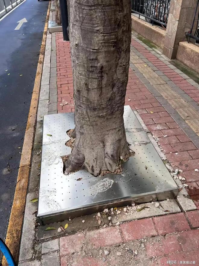 城市市政改造几年更新一次合适？省点钱帮扶困难群众(图1)