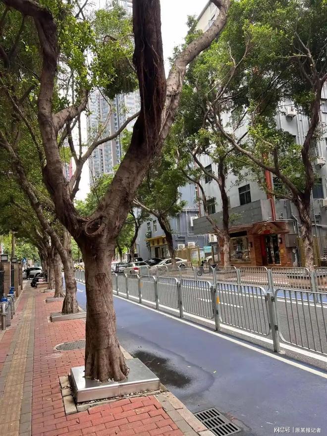 城市市政改造几年更新一次合适？省点钱帮扶困难群众(图2)