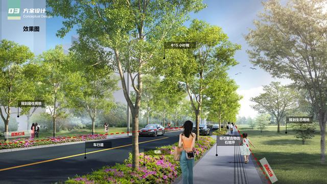 武侯区又有多条道路即将开建(图5)