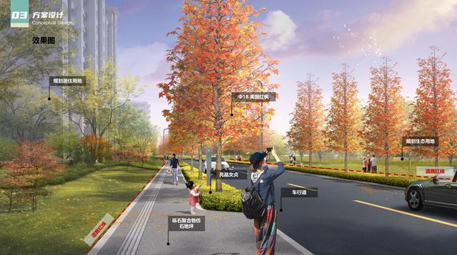 武侯区又有多条道路即将开建(图7)