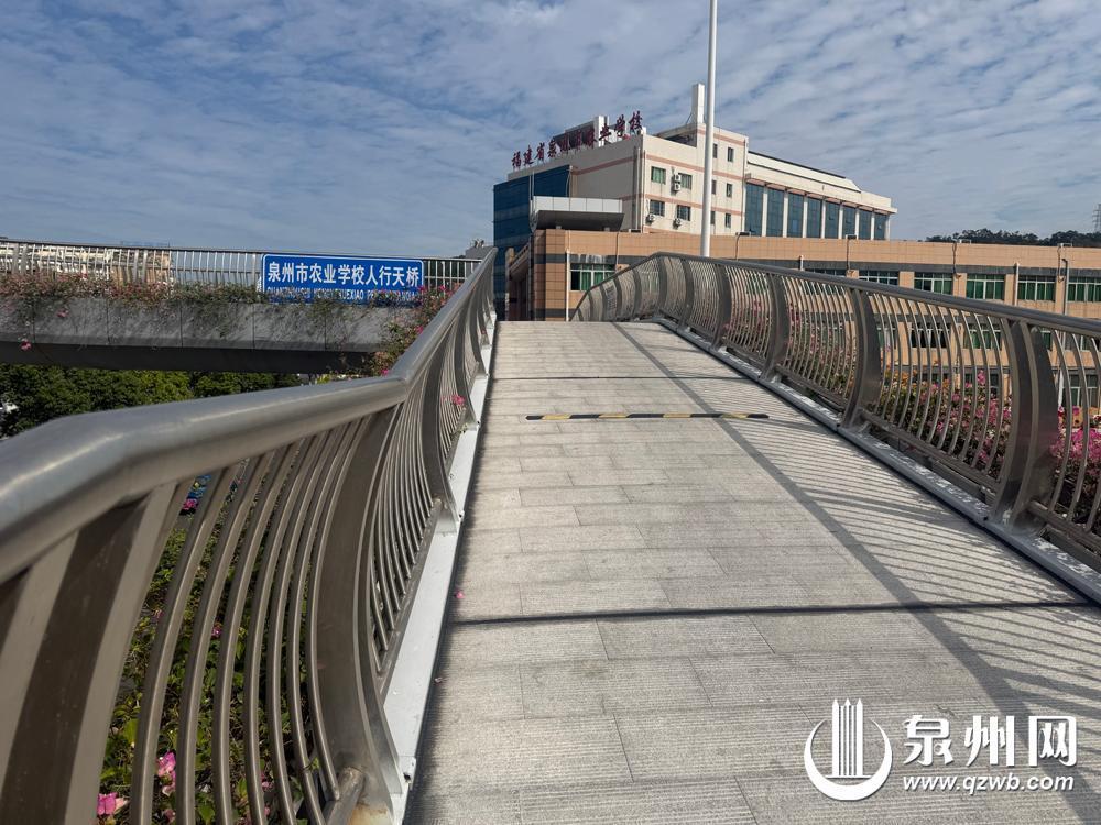 泉州中心市区人行天桥改造工程（二期）启动5座天桥春节前焕新