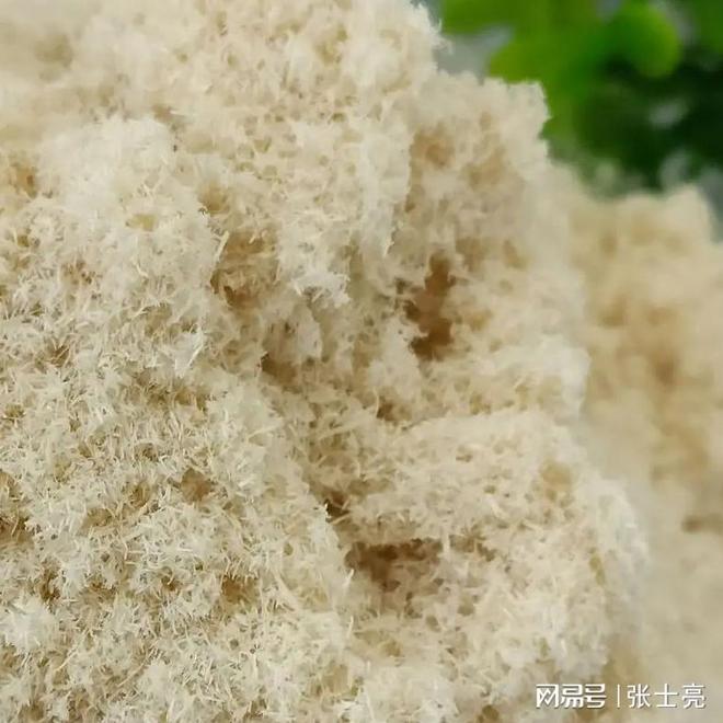 山东兴茂工程材料:深耕纤维领域赋能路面与建筑品质升级(图3)