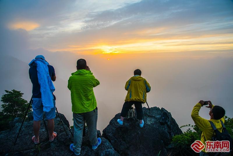 “镇”能量丨永春外山乡：农旅融合变现“金山银山”(图5)