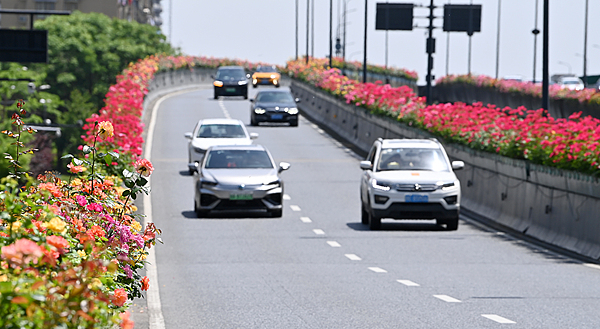 清明假期正式开启这份出行游玩全攻略请收好(图3)