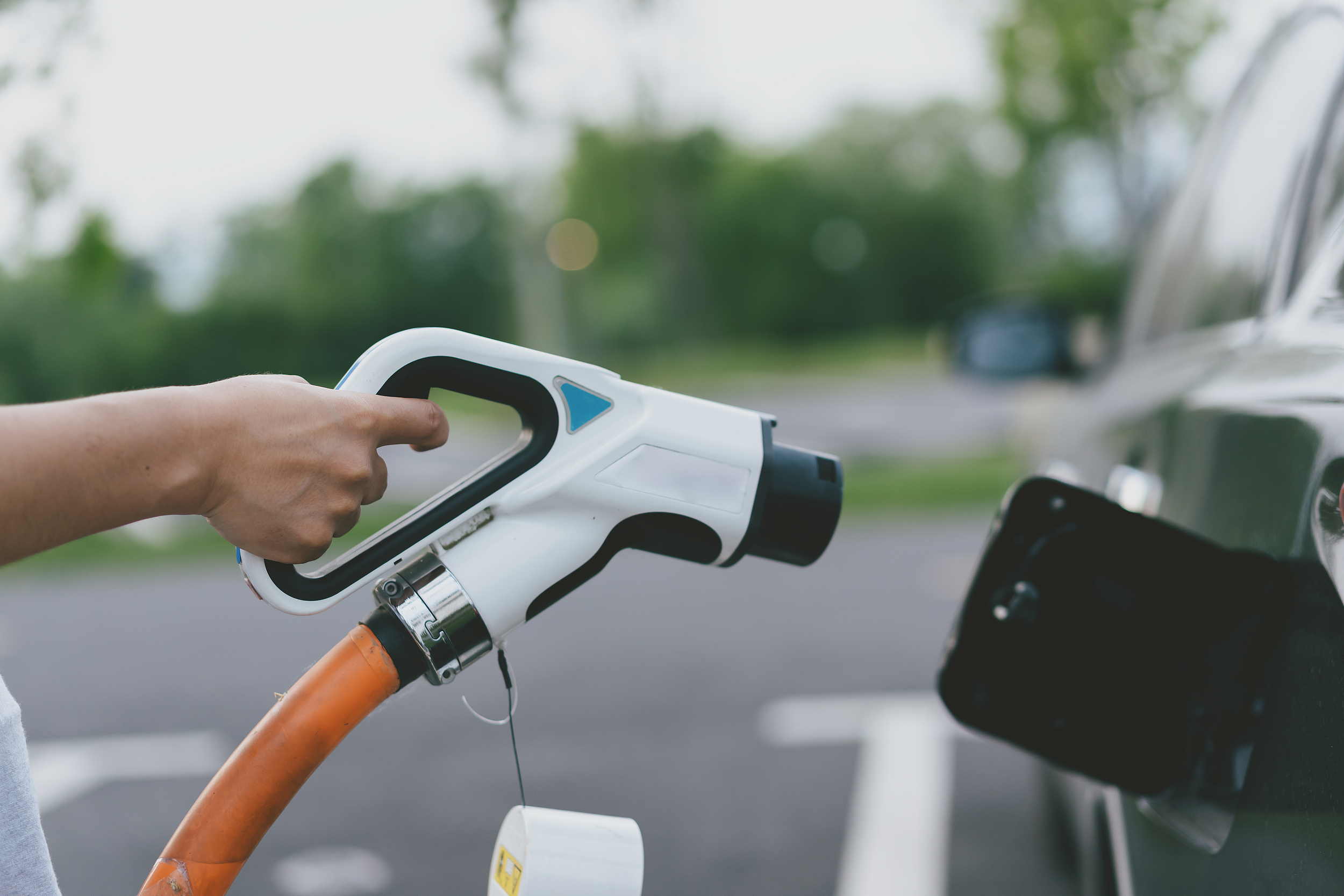 清明假期正式开启这份出行游玩全攻略请收好(图4)