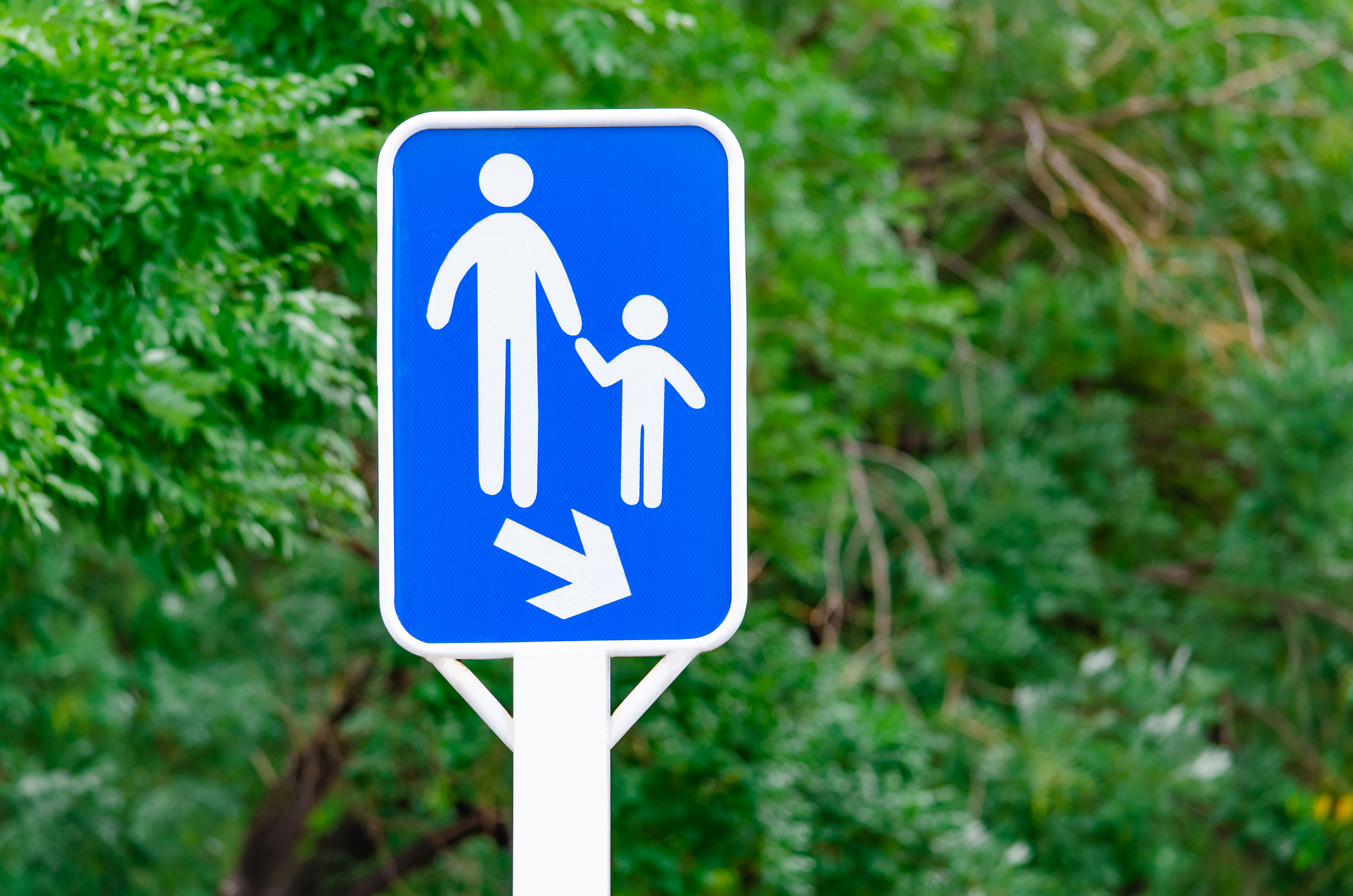 清明假期正式开启这份出行游玩全攻略请收好(图6)