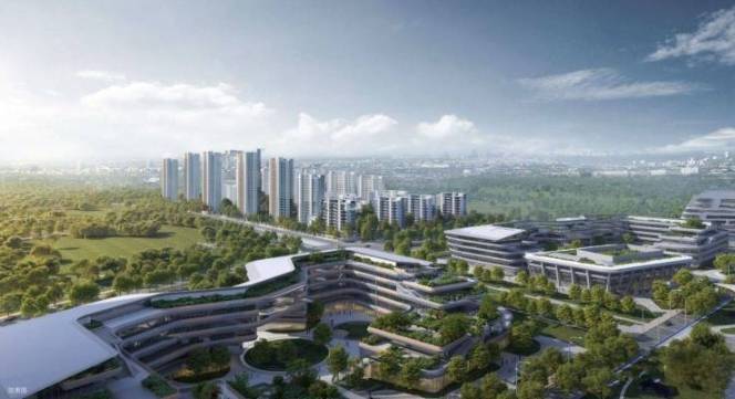 合肥伟星万科星遇光年_5月最新看房电话_解锁项目核心优势_户型深度解析_理性选房不踩坑(图5)